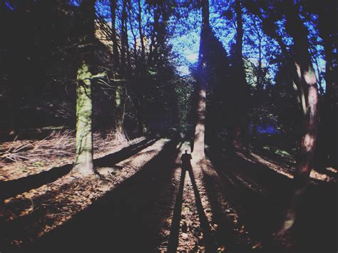 BARNETT DEMESNE — NI EXPLORER