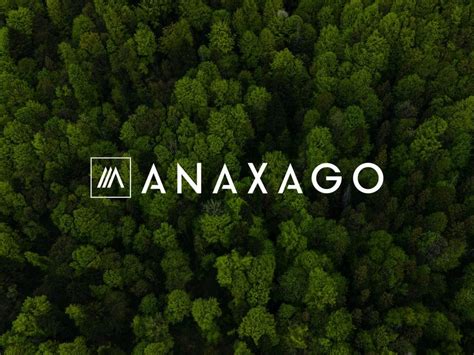 Investir Dans Une Start Up Avec Anaxago