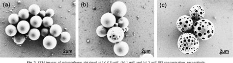 [pdf] Fabrication Of Nonporous And Porous Cationic Plga Microspheres Semantic Scholar