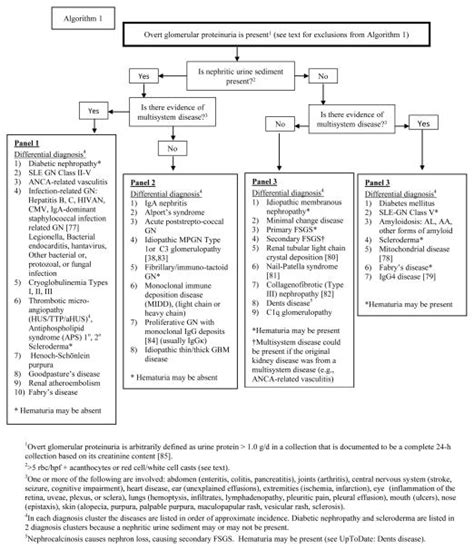 Differential Diagnosis Of Glomerular Disease A Systematic And