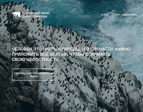 Wwf projects | Photos, videos, logos, illustrations and branding on Behance