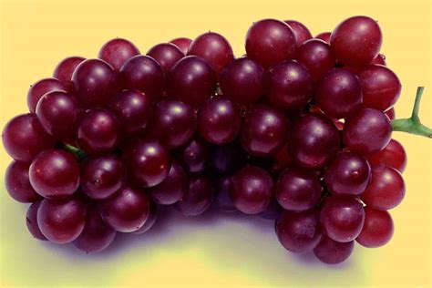 Beneficios De Las Uvas Rojas Y C Mo Protegen Tu Cuerpo La Gu A De