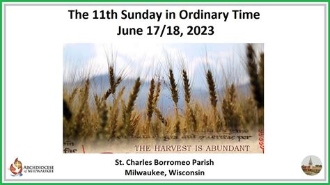 The Th Sunday In Ordinary Time Youtube