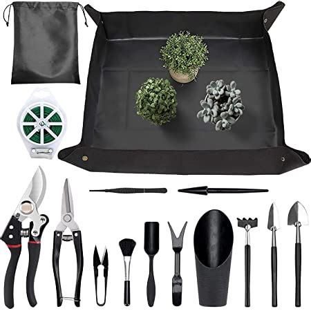 Amazon Bonsai Tree Seed Starter Kit Mini Bonsai Plant Growing