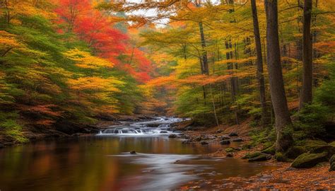 Pittsfield State Forest Explore Massachusetts Parks Verdant Traveler