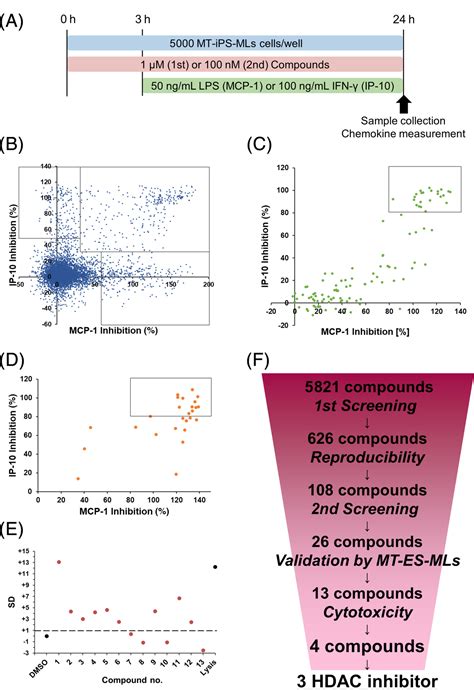 Pluripotent Stem Cell‐based Screening Identifies Cudc‐907 As An