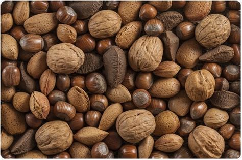 Types Of Tree Nuts