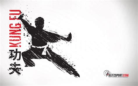 Kung Fu Wallpapers Wallpaper Cave