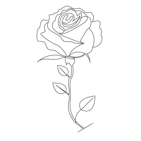 Continuous One Line Rose Flower Outline Vector Art Drawing