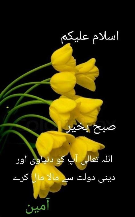 Pin By Shabira Shahtaj On Subah Bakhair In 2023 Good Morning Images