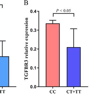 The Correlations Of MiRNAs And Target Gene Expression Levels In