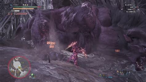 【mhw】エオルゼアからの来訪者 ベヒーモス 双剣ソロ 14分38秒 装衣あり Youtube