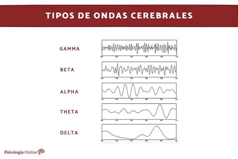 Qu Son Las Ondas Cerebrales Alfa