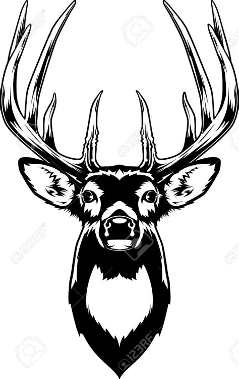 Deer Clipart Black And White Free Download On Clipartmag