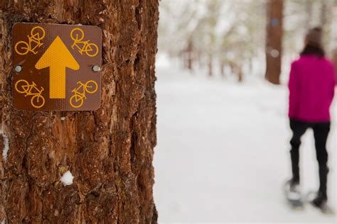 Top Spots for Snowshoeing in Mammoth Lakes | Visit Mammoth