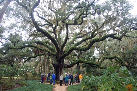 Washington Oaks Gardens State Park Palm Coast Florida Flaglerlive
