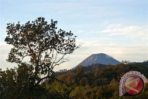 Pendaki Hilang Di Semeru Ditemukan Selamat Antara News