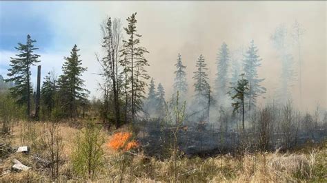 Wildfire Danger For Grande Prairie Forest Area Listed As Very High Everythinggp