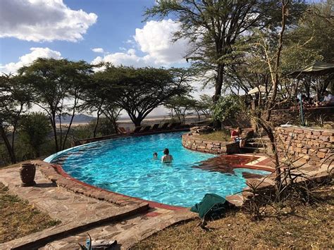 Serengeti Serena Safari Lodge - UPDATED 2024 Prices, Reviews & Photos