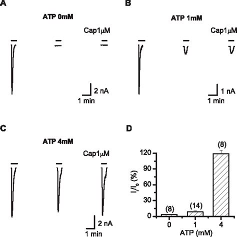 Figure 1 From Functional Recovery From Desensitization Of Vanilloid