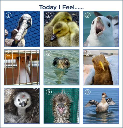 Pin By Liz Leidel On How Are You Feeling Today Feelings Chart How