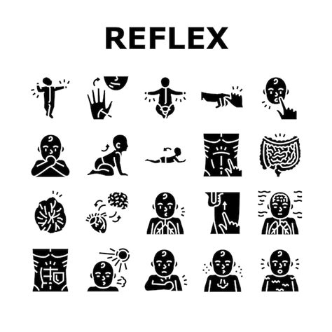 Premium Vector Reflex Of Human Neurology System Icons Set Vector