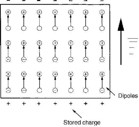 12 Orientation Of Dipoles In An Electric Field 1 Download Scientific Diagram