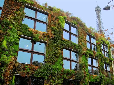 Paris Mur Vegetal Patrick Blanc Musee Branly Jean Nouvel Land8