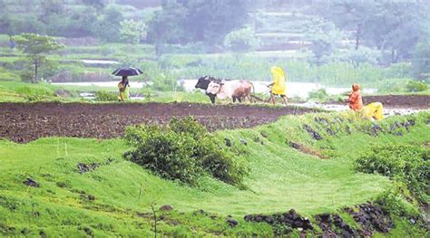 Fortnight After Maharashtra Government Credit Line Farmers Wait