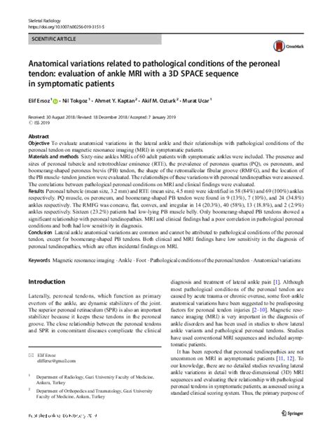 Pdf Atypical Anomalous Peroneal Fibularis Tendon Potential Pitfall