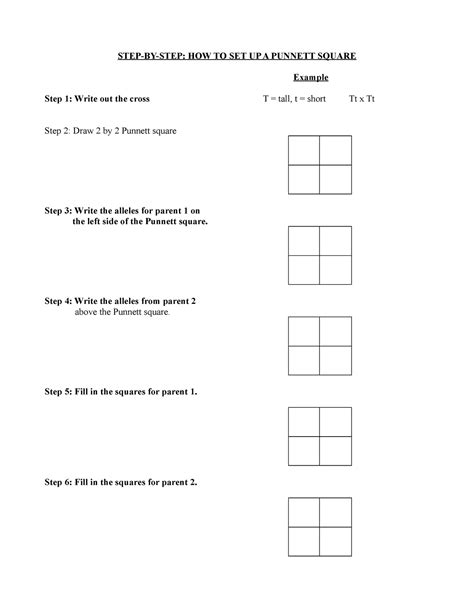 Punnett Squares How To Nothing Step By Step How To Set Up A