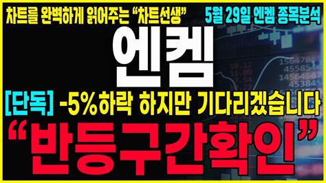 엔켐 주가분석 긴급공시 5분전 속보 5 하락했지만 상승반전을 기대하는 진짜이유 6월 반드시이 것 때문에 반등 할