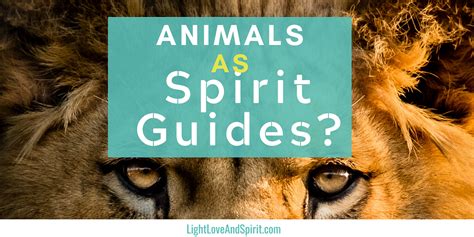 Animals As Spirit Guides