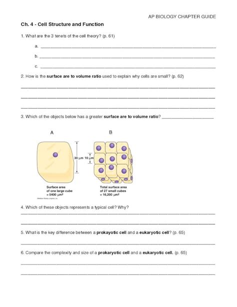 Pdf Ch 4 Cell Structure And Function Hayesciencehayescience