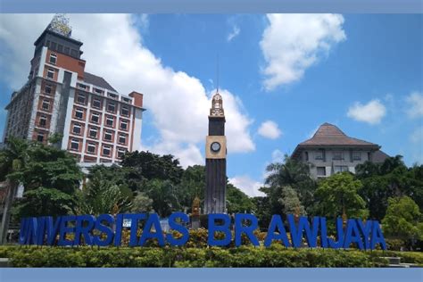 Intip Nilai Minimal Utbk Ub Untuk Lolos Snbt Di Universitas Brawijaya