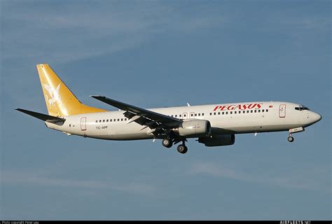 Pegasus Airlines Boeing 737 NG Max TC APF Fhoto 5795 Airfleets