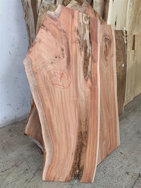 Eucalyptus Slab 9 Live Edge Tropical Exotic Hardwoods