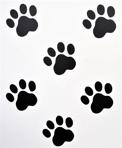 Paw Print Wall Art Decals Stickers Various Colours And Sizes Etsy