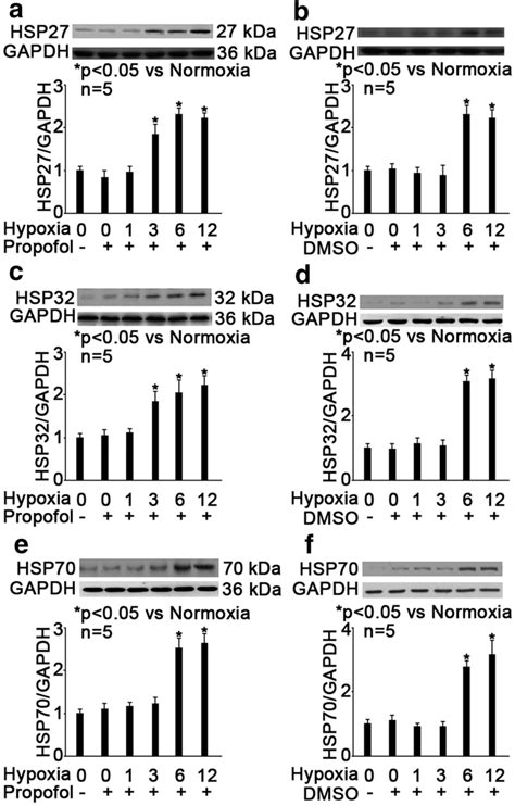 Propofol Advanced Hypoxia Induced Expression Of Hsp And Hsp The