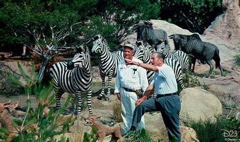 Disneyland Jungle Cruise Animals