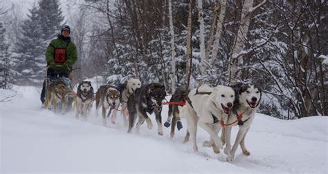 Winter in Algonquin Park