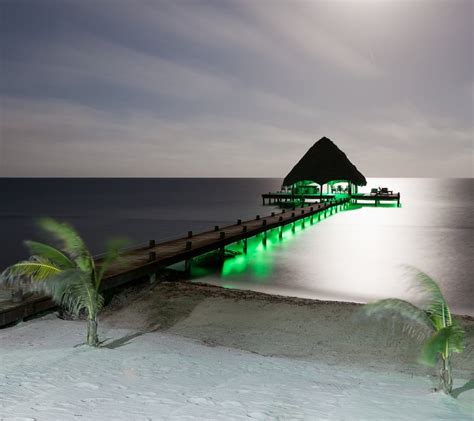 Green Underwater Dock Lights: Why the Color Green?