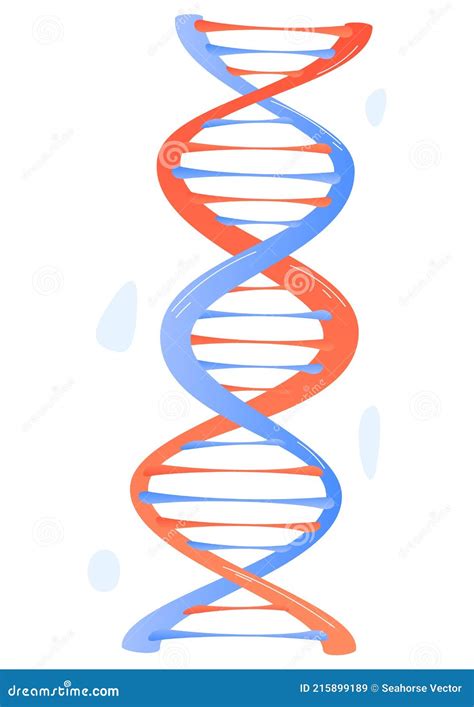 DNA Struktur Menschliche Zelle Im Schnitt Unter Mikroskop Medizinische