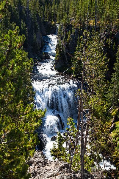 Yellowstone National Park Mickmc