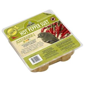 Heath Outdoor Products Hot Pepper Suet Cake 12 Pack DD 25 The Home Depot