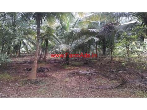 2 5 Acre Coconut Farm Land For Sale In Chittur Palakkad FarmAds In