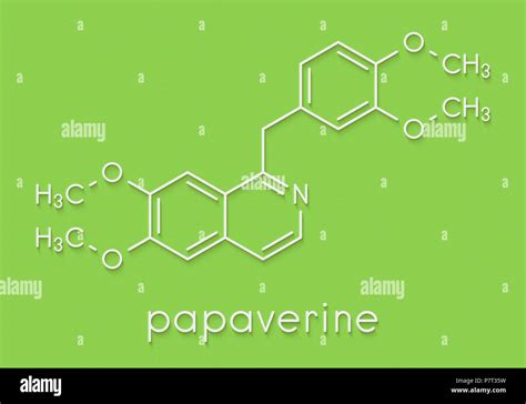 Papaverine Opium Alkaloid Molecule Used As Antispasmodic Drug