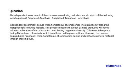 Solved 31 Independent Assortment Of The Chromosomes During Meiosis Occurs In Which Of The