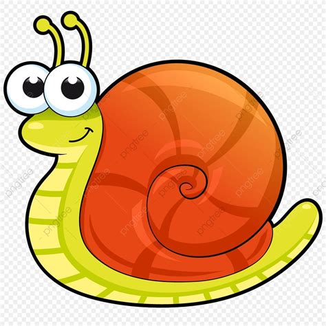 Caracol De Dibujos Animados Concha Imagen Png Imagen Transparente