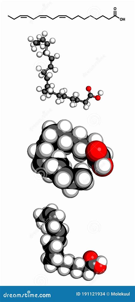 Omega-3 Unsaturated Fatty Acid (alpha-linolenic Acid), Molecular Model ...